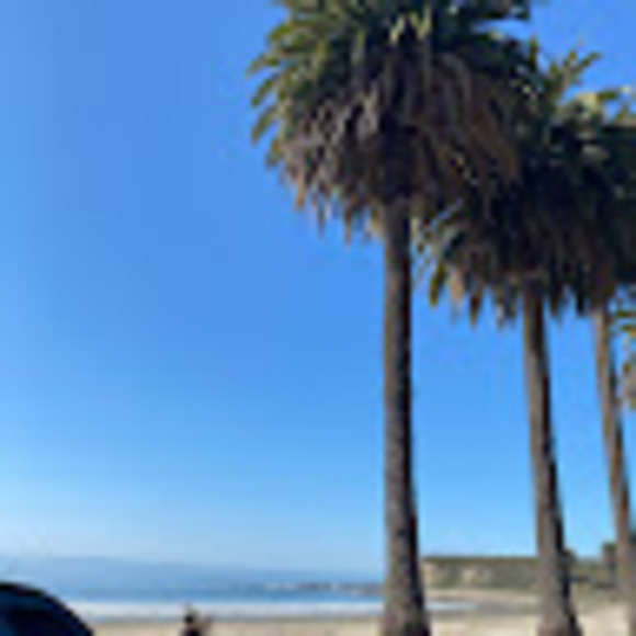 Meet your Posher, Noah - Picture 1 of 1